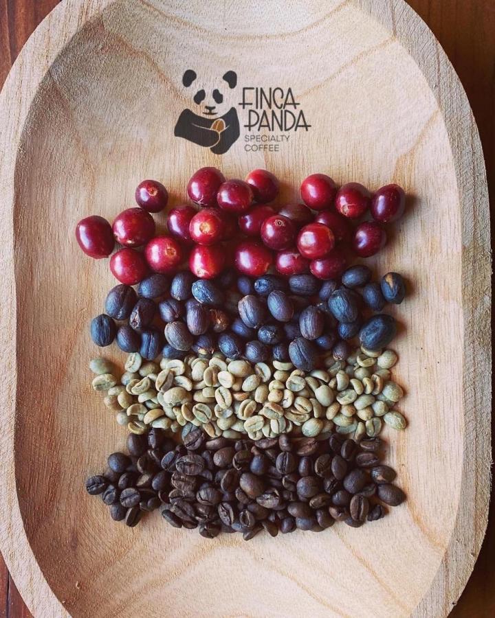 Finca Panda بوكيتي المظهر الخارجي الصورة